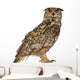 Portrait Eurasian Eagle-owl (Right Side) Wall Decal