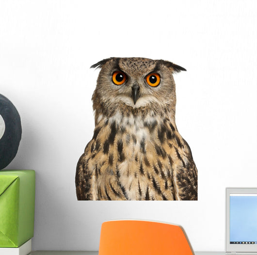 Eurasian Eagle-owl Face with Wide Eyes Wall Decal