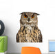 Eurasian Eagle-owl Face with Wide Eyes Wall Decal