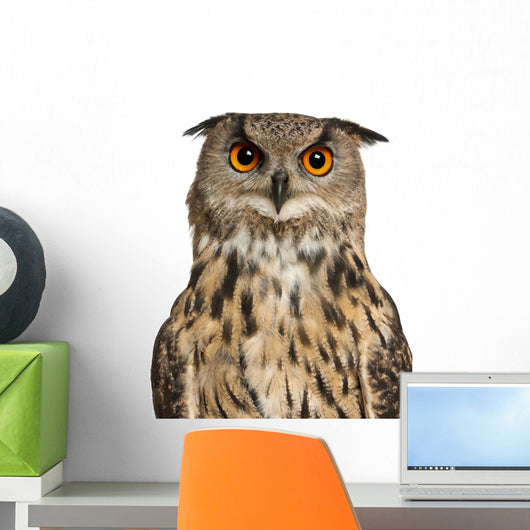 Eurasian Eagle-owl Face with Wide Eyes Wall Decal