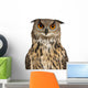 Eurasian Eagle-owl Face with Wide Eyes Wall Decal