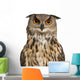 Eurasian Eagle-owl Face with Wide Eyes Wall Decal