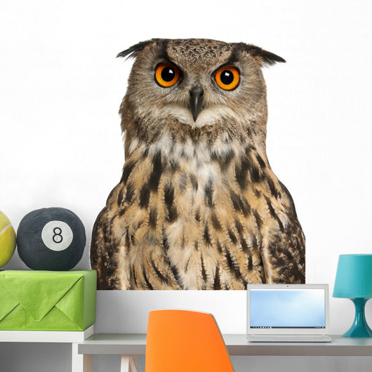 Eurasian Eagle-owl Face with Wide Eyes Wall Decal