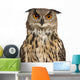 Eurasian Eagle-owl Face with Wide Eyes Wall Decal