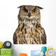 Eurasian Eagle-owl Face with Wide Eyes Wall Decal