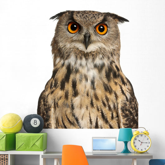 Eurasian Eagle-owl Face with Wide Eyes Wall Decal