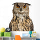 Eurasian Eagle-owl Face with Wide Eyes Wall Decal