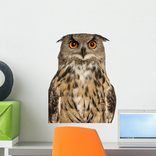 Portrait Eurasian Eagle-owl Close-up Wall Decal