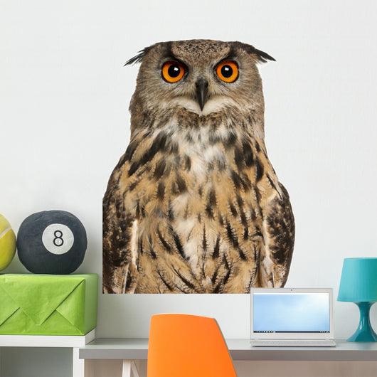 Portrait Eurasian Eagle-owl Close-up Wall Decal