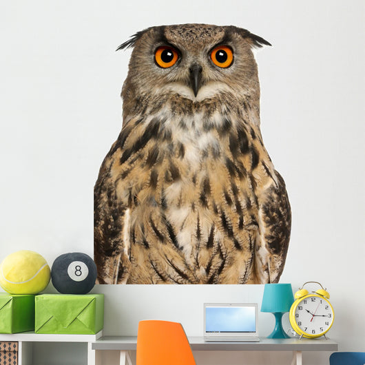 Portrait Eurasian Eagle-owl Close-up Wall Decal