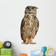 Portrait Eurasian Eagle-owl Wall Decal
