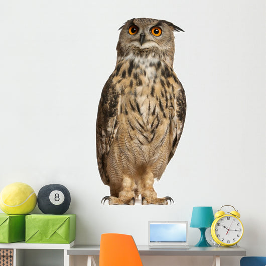 Portrait Eurasian Eagle-owl Wall Decal