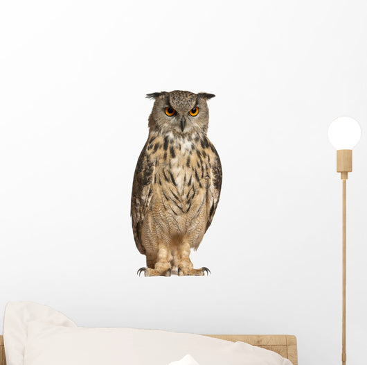 Eurasian Eagle Owl Wall Decal