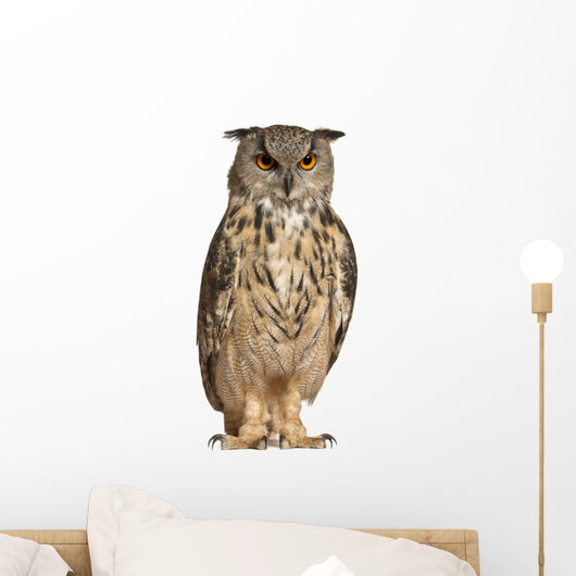 Eurasian Eagle Owl Wall Decal