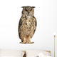 Eurasian Eagle Owl Wall Decal