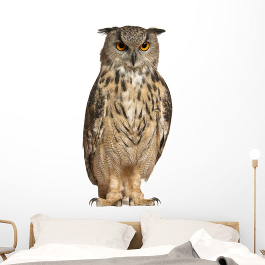 Eurasian Eagle Owl Wall Decal