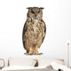 Eurasian Eagle Owl Wall Decal