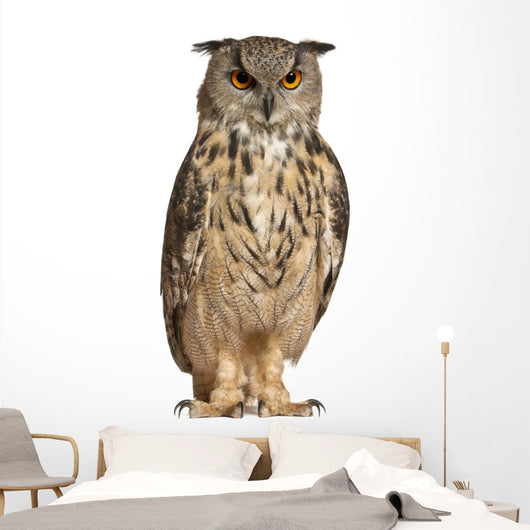 Eurasian Eagle Owl Wall Decal