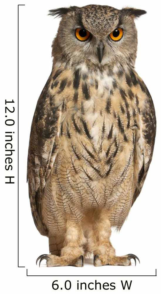 Eurasian Eagle Owl Wall Decal