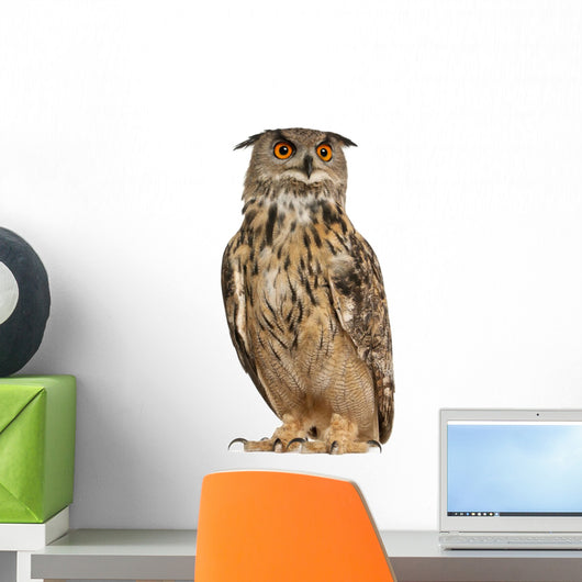 Eurasian Eagle-owl Looking Left Wall Decal