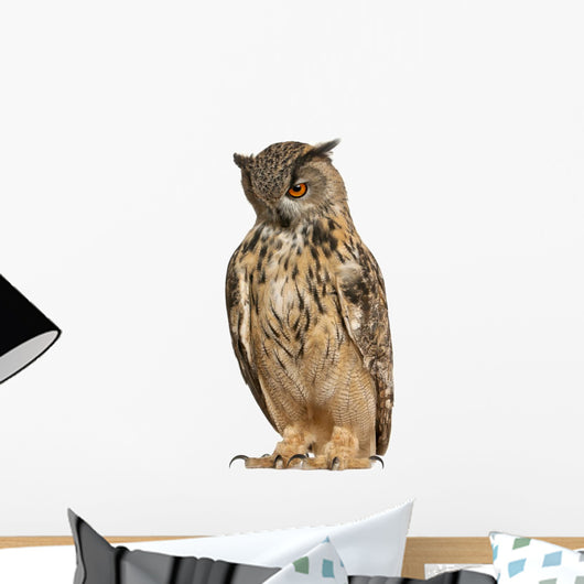 Eurasian Eagle-owl Standing Straight Wall Decal