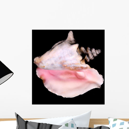 Conch Shell Wall Decal
