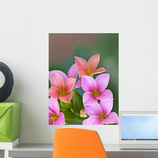Tiny Coral-pink and Orange Wall Decal