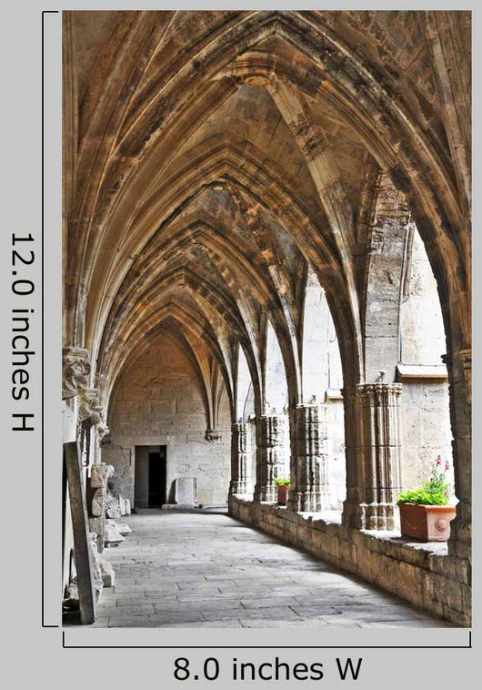 Beziers Cathedral Languedoc France Wall Decal