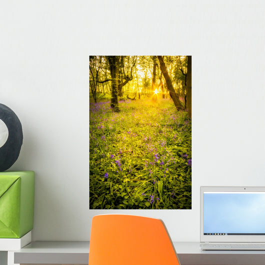 Sunrise Bluebell Woods Wall Decal