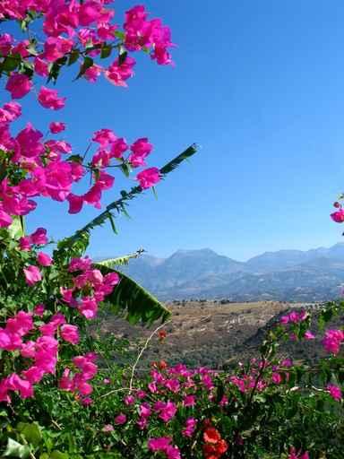 Crete Wall Decal