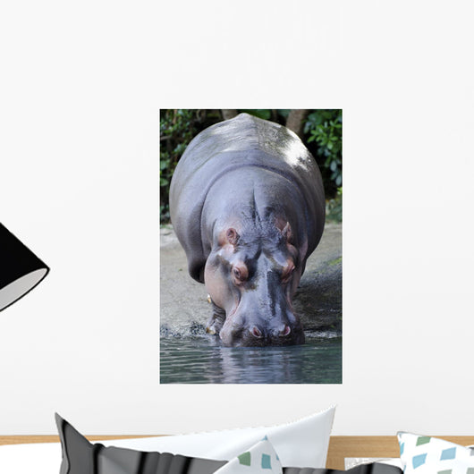 Wildlife and Animals Hippopotamus Wall Decal