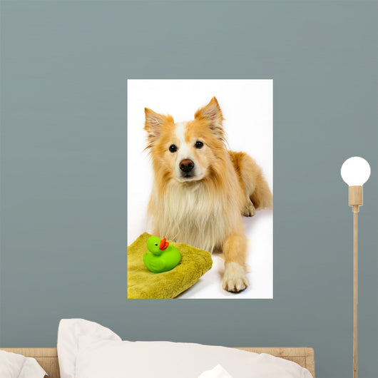Dog Reading for Bath Wall Decal