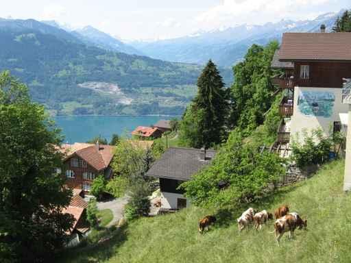 Swiss Alps Landscape Wall Decal
