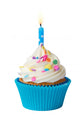 Birthday Cupcake Wall Decal