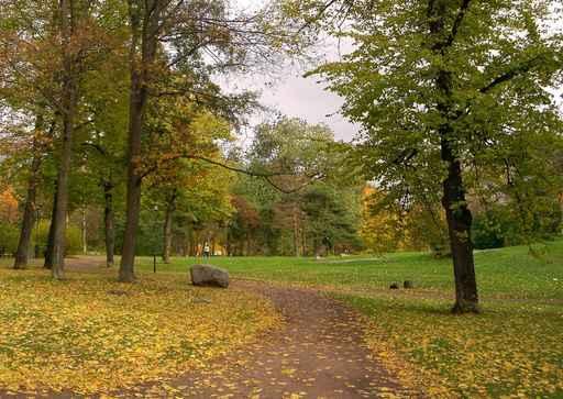 Autumn Park Wall Decal