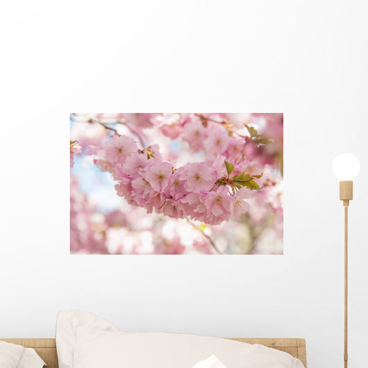 Sakura Cherry Tree Blossom Wall Decal