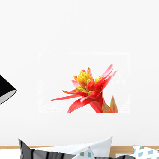 Guzmania Lingulata Wall Decal