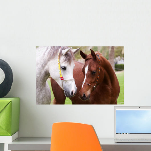 Friendship Wall Decal
