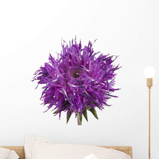 Purple Wild Flower Wall Decal