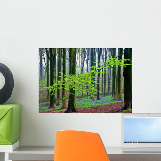 Spring Forest Wall Decal