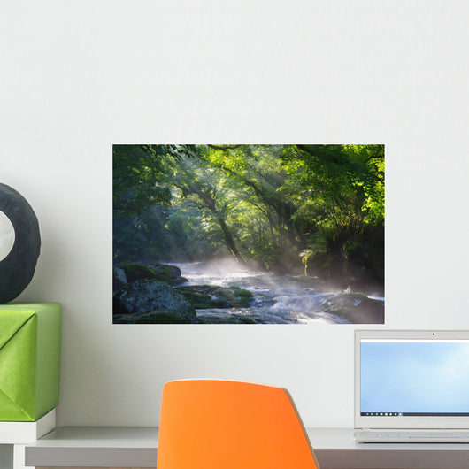 Virgin Forest and River Wall Decal