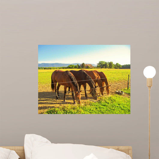 4 Konie W Jednym Wall Decal
