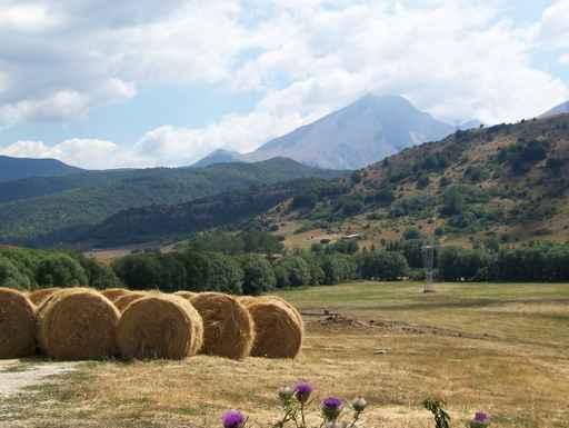 Abruzzo Wall Decal