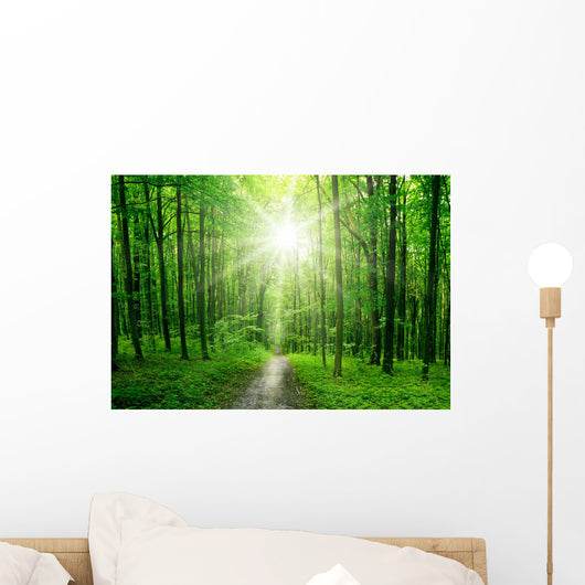 Forest Wall Decal