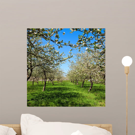 Apple Flower Spring C Wall Decal