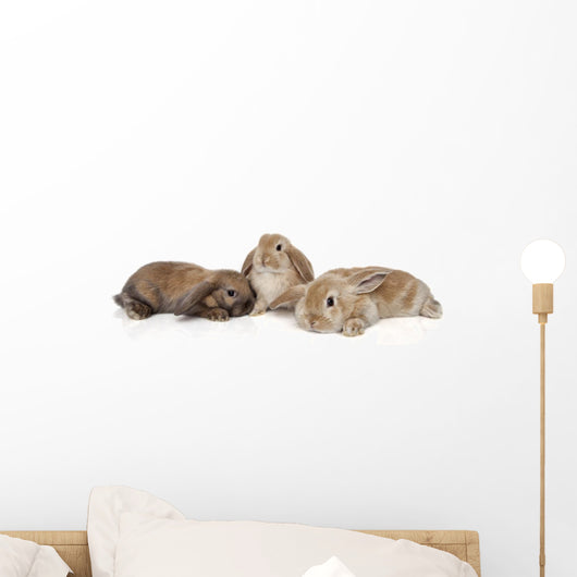 Bunny Wall Decal