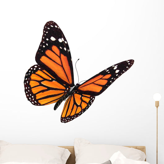 Digital Render Monarch Butterfly Wall Decal