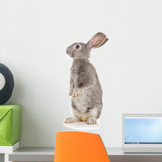 Gray Rabbit Wall Decal