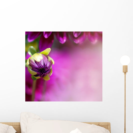 Purple Flower Petal Wall Decal