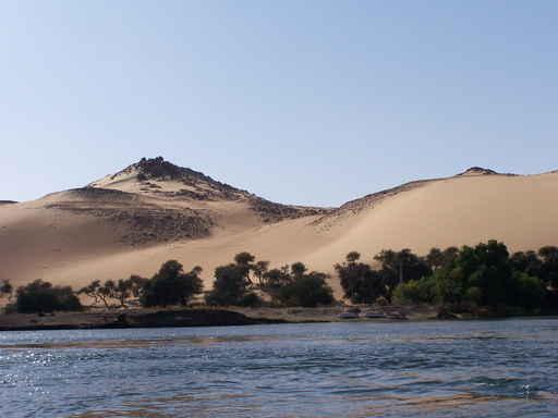Desert Nile Wall Decal